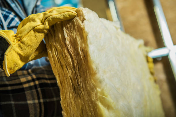 Best Insulation Inspection Services  in Monessen, PA