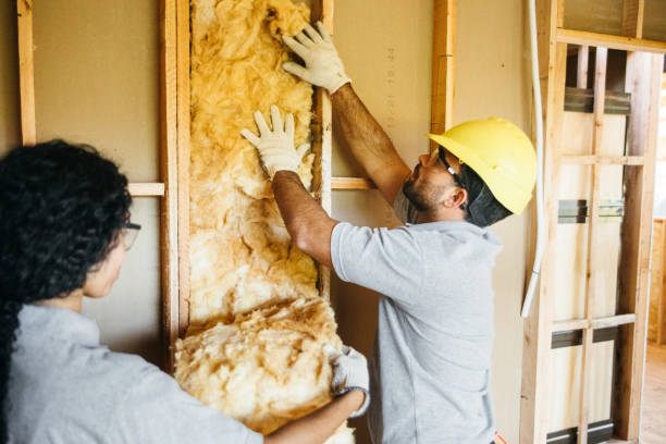Best Energy-efficient Insulation  in Monessen, PA