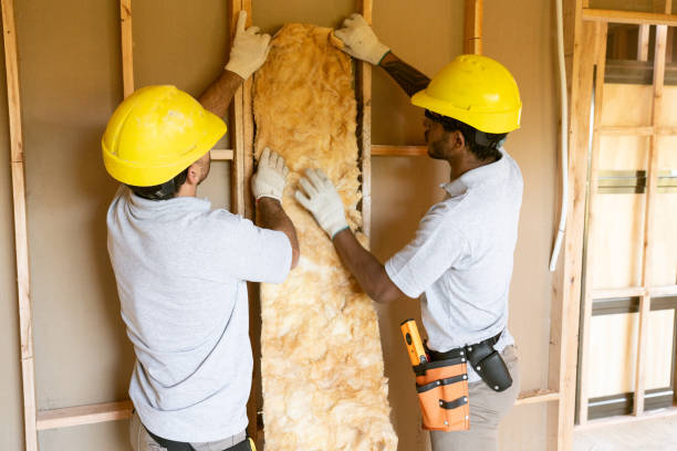 Best Insulation Contractors for Homes  in Monessen, PA
